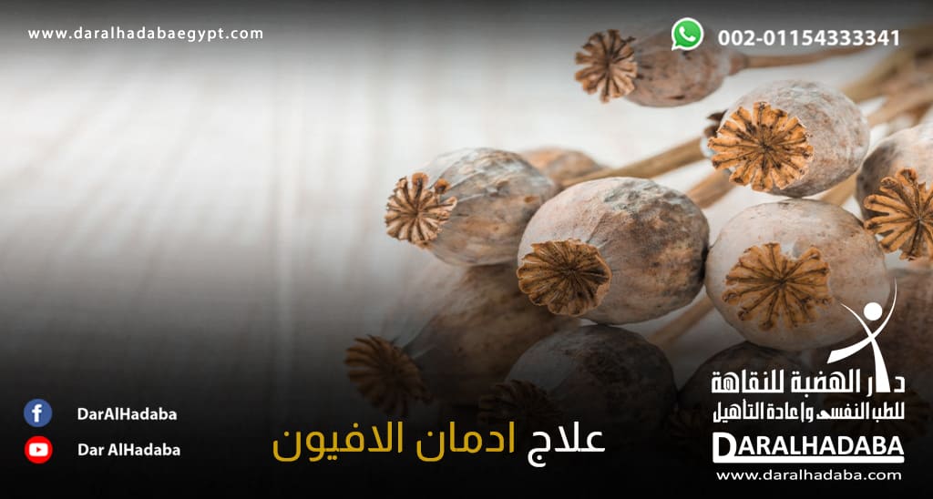 عدد من وهور نبات الخشاش الذي يسبب الادمان ويجعل متعاطيه يلجأ إلى علاج ادمان الافيون