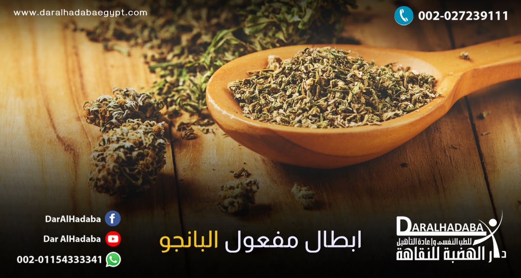 طاولة عليها نبات البانجو وبجانبها ملعقة خشبية عليه نبات البانجو والبحث عن كيفية ابطال مفعول البانجو
