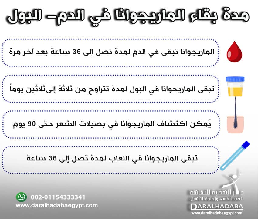 مدة بقاء الماريجوانا في الدم- البول