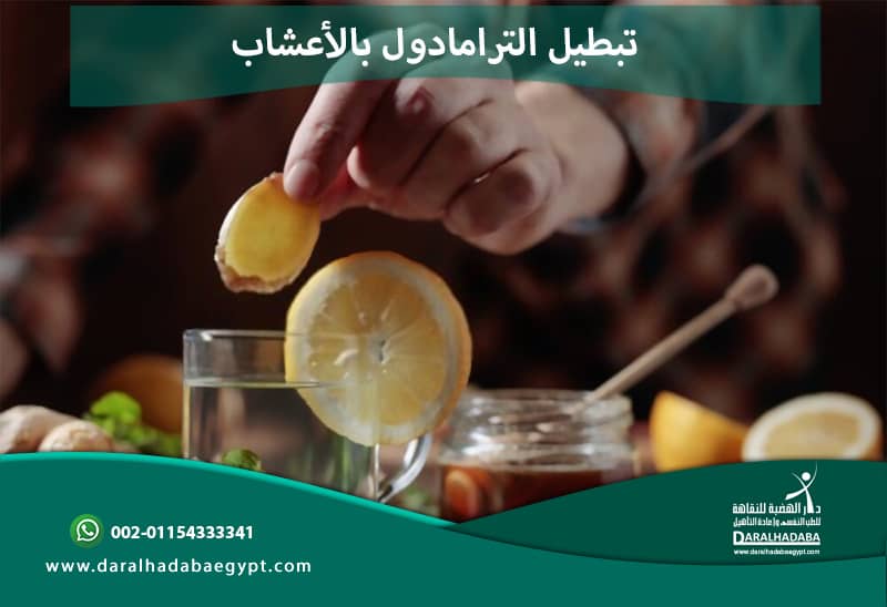 شخص يجرب تبطيل الترامادول بالاعشاب