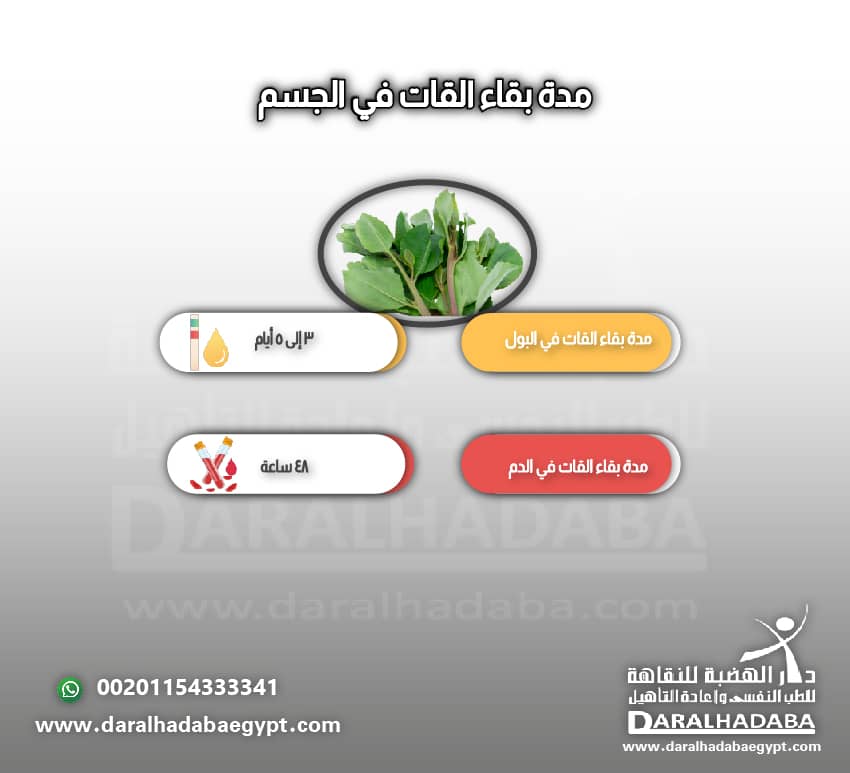 مدة بقاء القات في الجسم