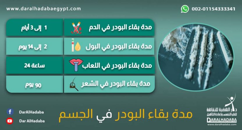 معلومات في شكل جدول عن تحليل مخدر البودر ومدة بقاء البودر في الجسم