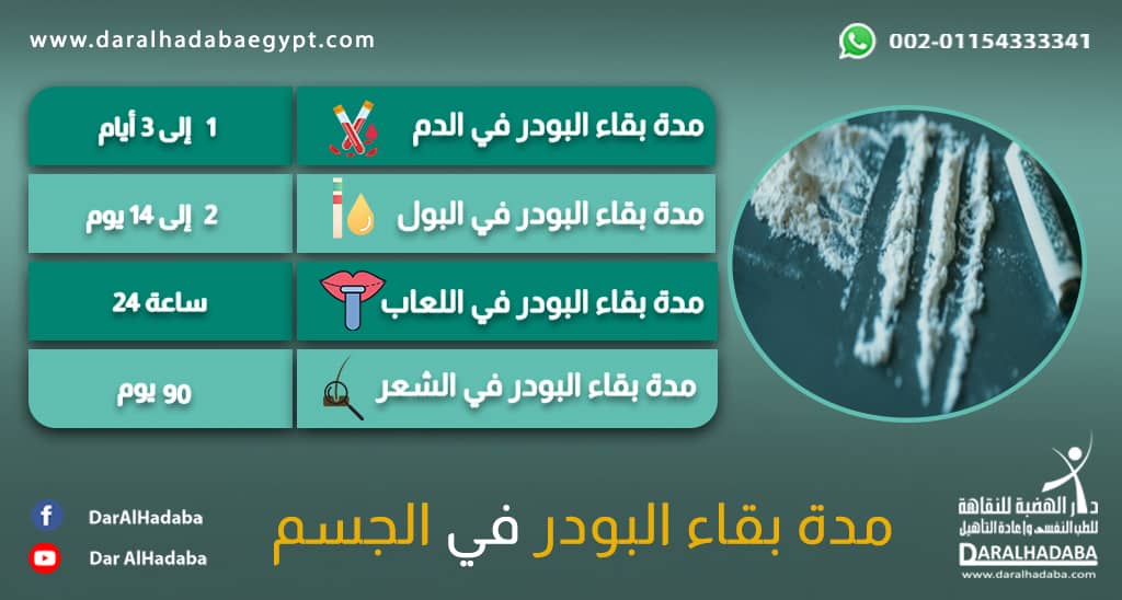 معلومات في شكل جدول عن تحليل مخدر البودر ومدة بقاء البودر في الجسم