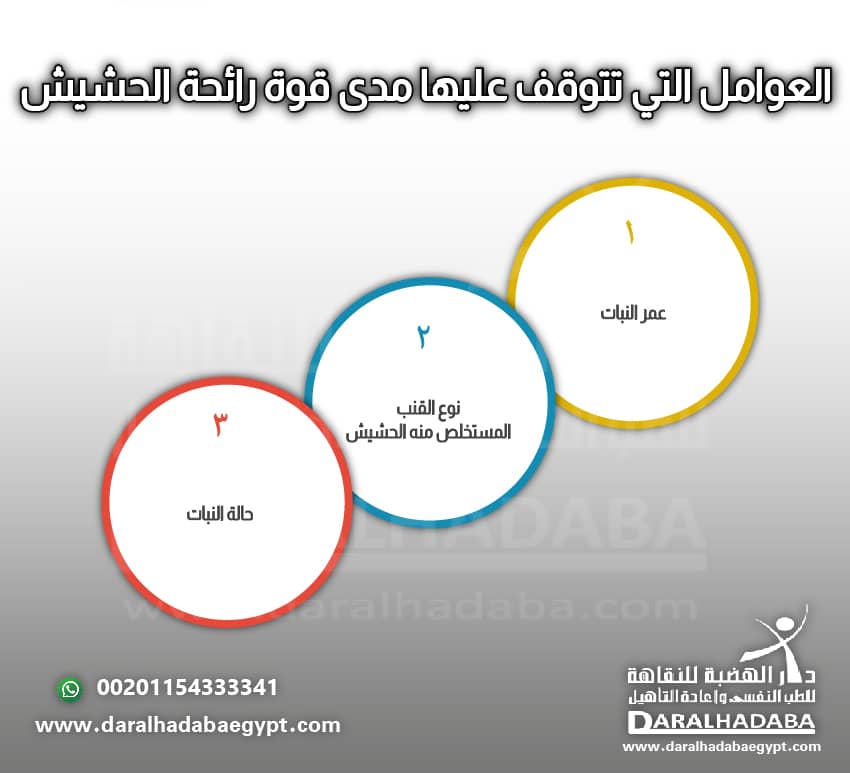 العوامل التي تتوقف عليها مدى قوة رائحة الحشيش