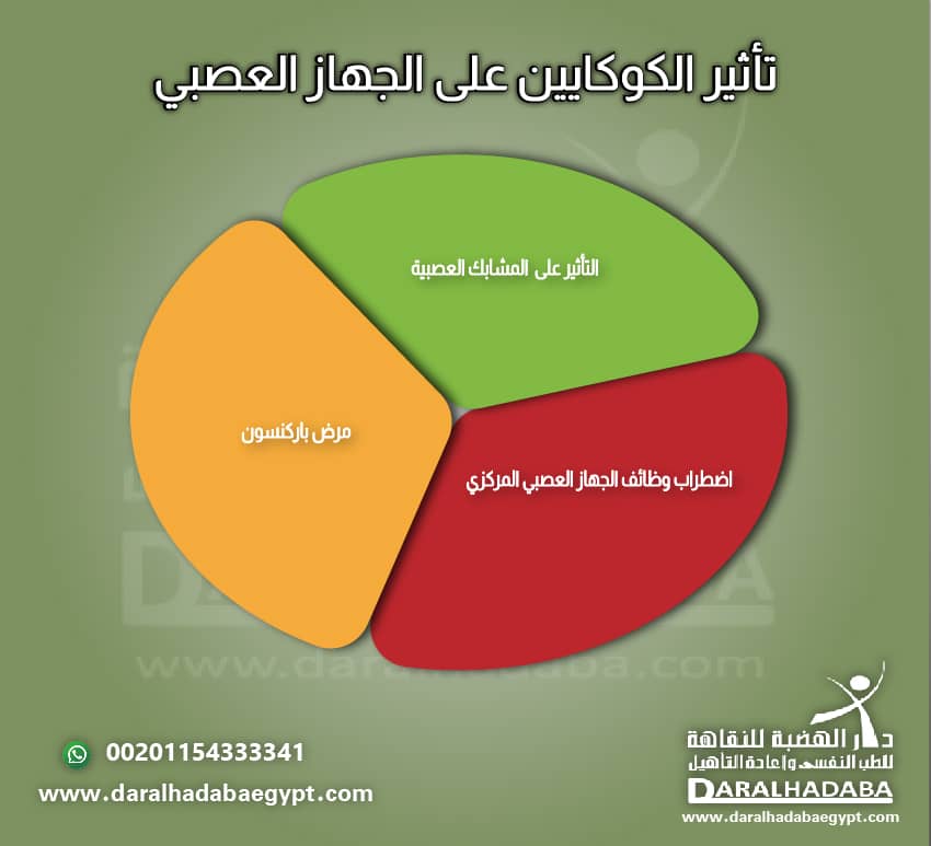 تأثير الكوكايين على الجهاز العصبي