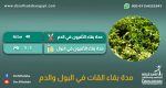 مدة بقاء القات في البول والدم